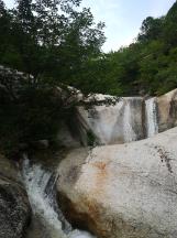 冰火人魔岛探险